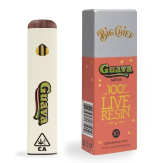 Big Chief 100% Live Resin Disposable 1G - Guava