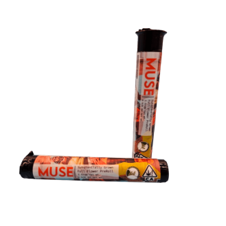 DOLO | MUSE | Forbidden Wonder | Infused roll | 1 g